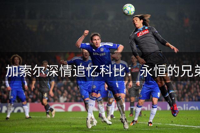 加索尔深情追忆科比：永恒的兄弟情谊 生日快乐