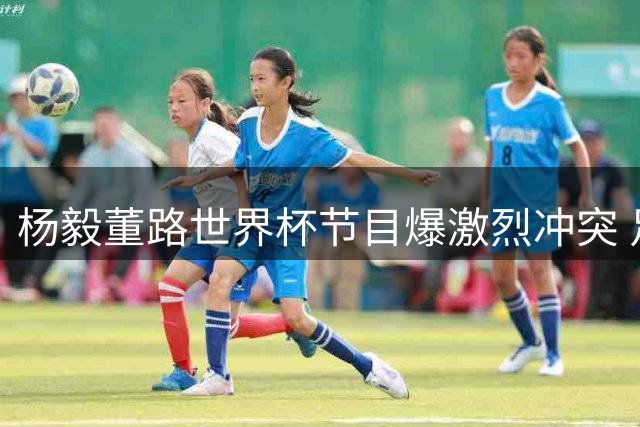 杨毅董路世界杯节目爆激烈冲突 足球青训理念之争致合作决裂