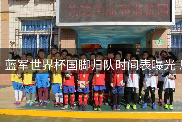 蓝军世界杯国脚归队时间表曝光 恩佐等主力获三周休整期